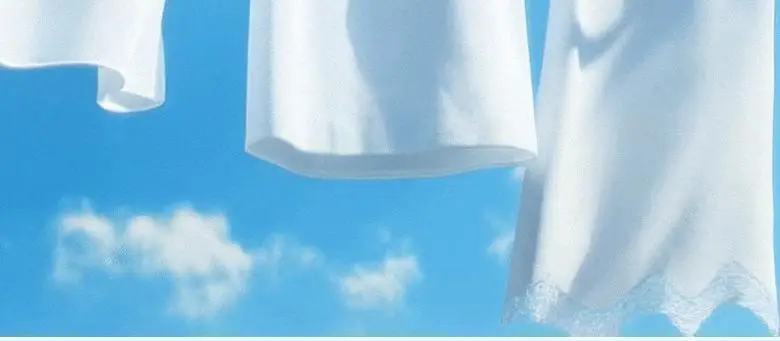 [핸드워시 증정기획] 라운드어라운드 센티드 핸드크림 50ml 상세페이지 15